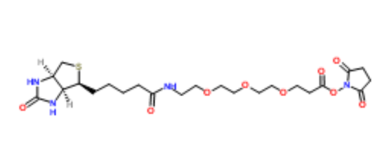 cas:1253286-56-4 Biotin-PEG3-NHS ester