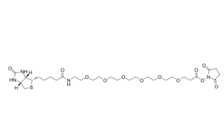 Biotin-PEG6-NHS ester 生物素-六聚乙二醇-活性酯