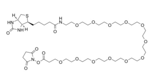 Biotin-PEG12-NHS ester 生物素十二聚乙二醇活性酯