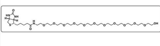 Biotin-PEG12-OH 生物素-十二聚乙二醇-羟基