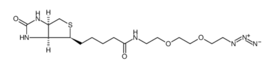 cas:945633-30-7 (+)-Biotin-PEG2-azide 生物素三聚乙二醇叠氮