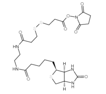 cas:142439-92-7 Biotin-bisamido-SS-NHS