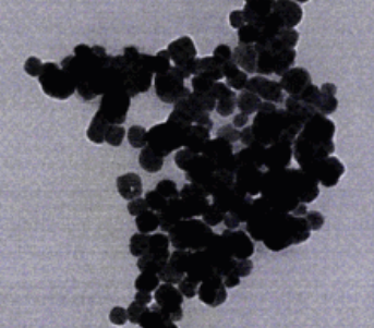 水溶性羧基上转换荧光纳米颗粒