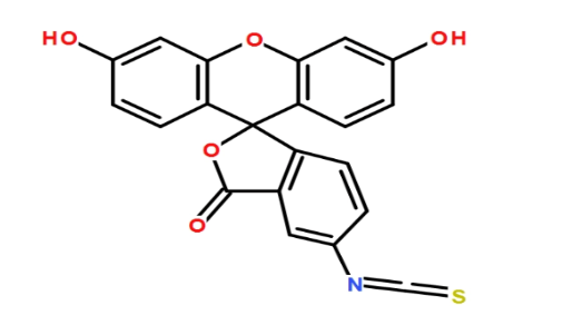 PLGA-SS-PEG-FITC，聚乳酸-羟基乙酸共聚物-二硫键-聚乙二醇-荧光素