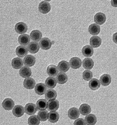 红色荧光上转换纳米颗粒980nm激发 红色荧光上转换纳米颗粒980nm激发
