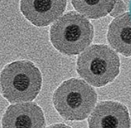油溶上转换NaYF4:Yb,蓝紫光808激发纳米颗粒