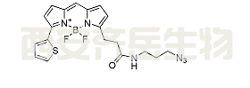 BDP 558/568 azide