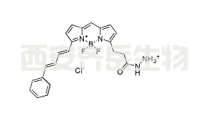 BDP 581/591 hydrazide