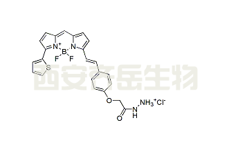 BDP 630/650 hydrazide CAS: 2183473-43-8