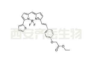 BDP 630/650 lipid stain