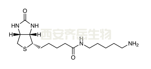 CAS:115416-38-1	Biotin-C5-Amine  	生物素-氨基