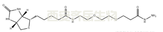 CAS: 2413847-26-2   生物素二聚乙二醇酰肼   Biotin-PEG2-hydrazide