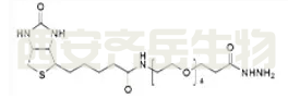 Biotin-PEG4-hydrazide cas756525-97-0 生物素-四聚乙二醇-酰肼
