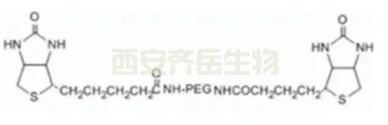 Biotin-PEG10000-Biotin