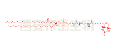 DSPE-PEG-Biotin