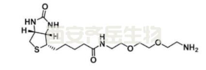 生物素-二乙二醇-氨基  