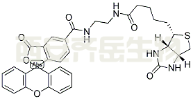 biotin (5 fluorescein) conjugate  