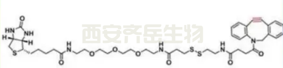 Biotin-PEG3-SS-DBCO 