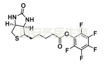Biotin-PFP ester  