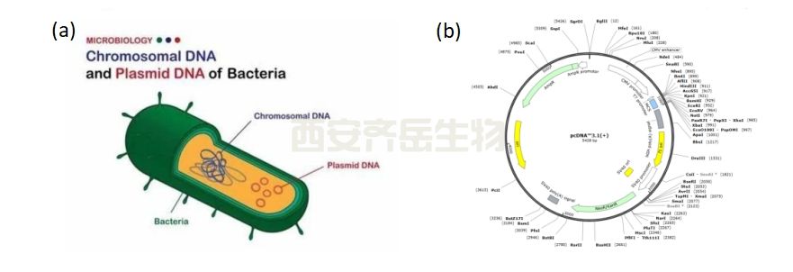 微信截图_20240806135928.png