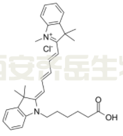 Cy5 羧酸	  