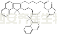 	Cyanine3.5 NHS酯	 