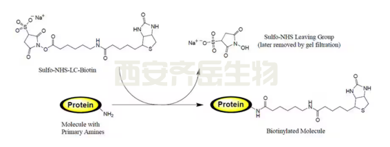 定制技术