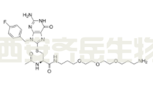 FBnG-(Cys-acetamide)-CH2-PEG3-CH2-CH2-CH2-NH2 