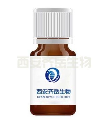 二硫键的葡聚糖衍生物 (Dex-SS-PA)  