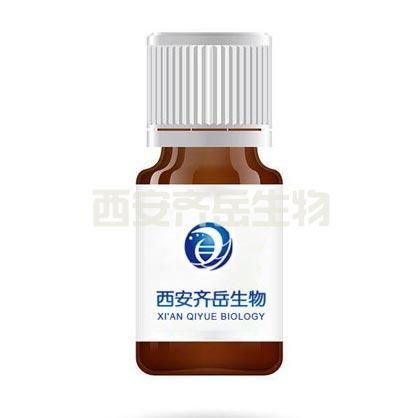 NCO-PEG-Alkyne 异氰酸酯聚乙二醇炔基  