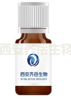 PLGA-PEG-Folate（叶酸修饰PLGA-PEG共聚物）