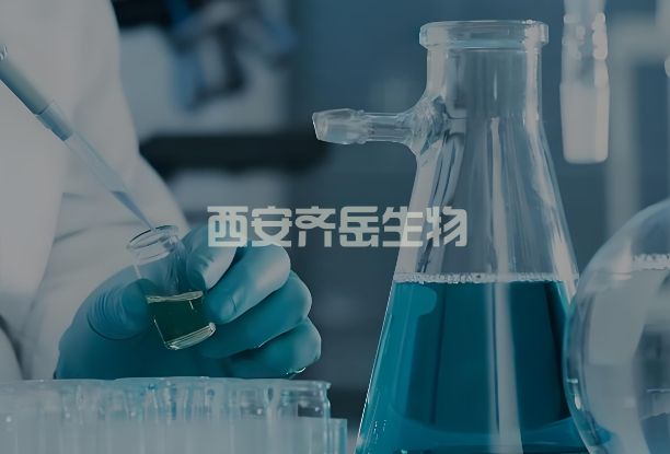 DSPE-PEG-HHC36，DSPE-PEG-KRWWKWWRR，磷脂-聚乙二醇-阳离子抗菌肽