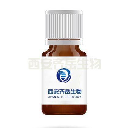 活性酯聚乙二醇马来酰亚胺 NHS-PEG-MAL
